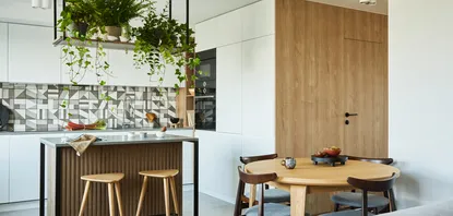 kitchen remodeling 1